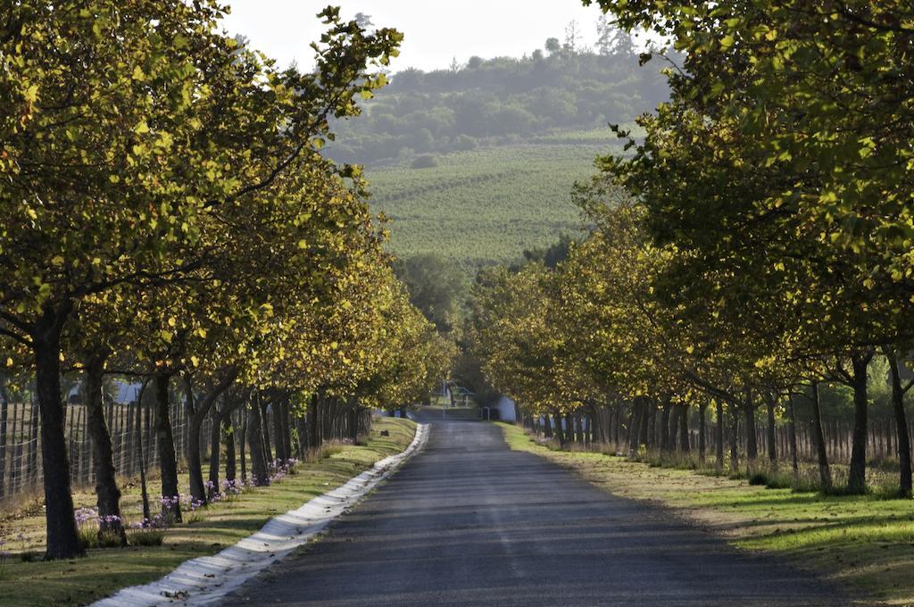 Saxenburg Wine Farm Apartment Kuils River Exterior foto